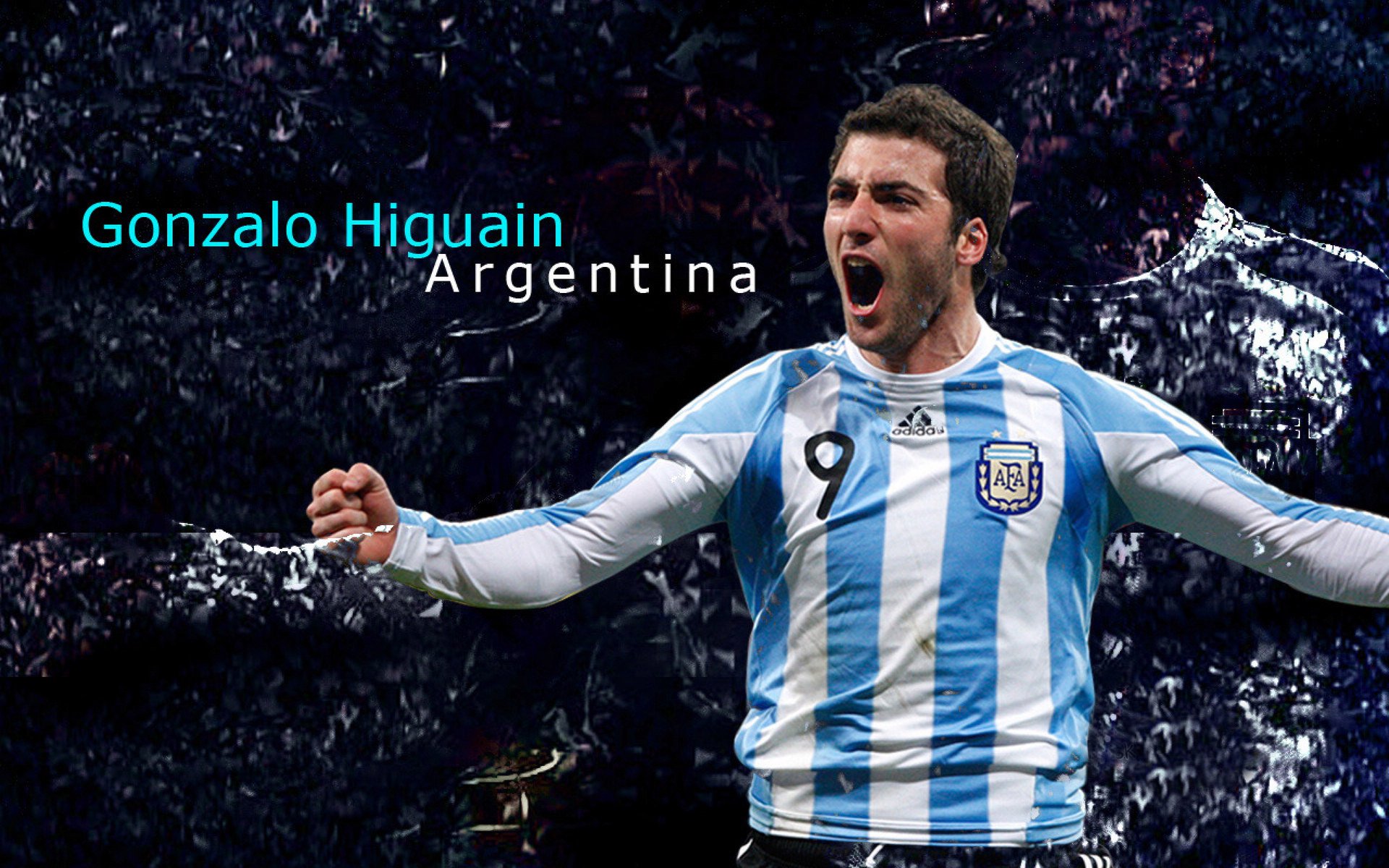 逆转的旗帜，德约科维奇如何扛起全队，从澳网阴霾到温网辉煌